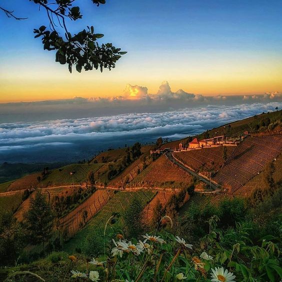 Pos Wisata Lumajang